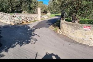 Terreno 8000mq prezzo in calo