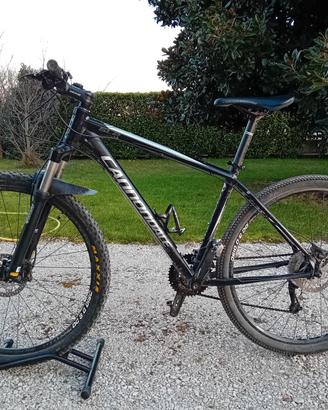 Cannondale Trail SL2