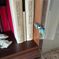 dizionario illustrato della lingua italiana 