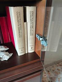 dizionario illustrato della lingua italiana 