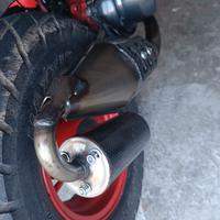 giannelli sport pro piaggio