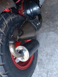 giannelli sport pro piaggio