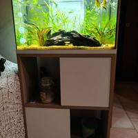 Acquario zolux tana 60 con mobile