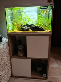 Acquario zolux tana 60 con mobile
