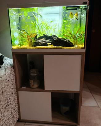 Acquario zolux tana 60 con mobile