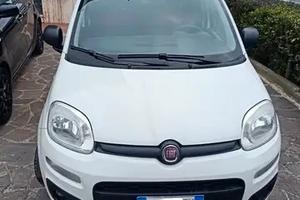 Fiat Van