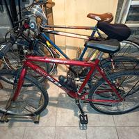 coppia Biciclette 28-26