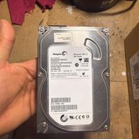 Seagate Hardisk Barracuda 250gb 7200.12 Formattato