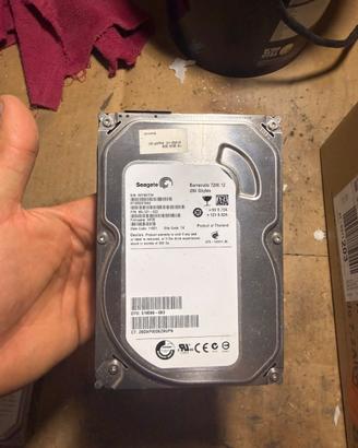 Seagate Hardisk Barracuda 250gb 7200.12 Formattato