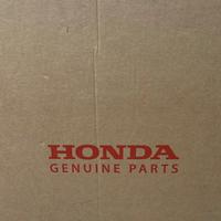 Parabrezza Fumé Honda D1155S