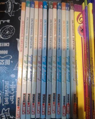 MANGA CUORE DI MENTA  serie completa