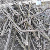 Legna da ardere vigna 