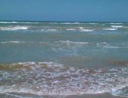 FRONTE MARE bilocale con giardinetto