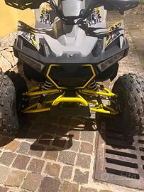 Quad Lem 125 4T