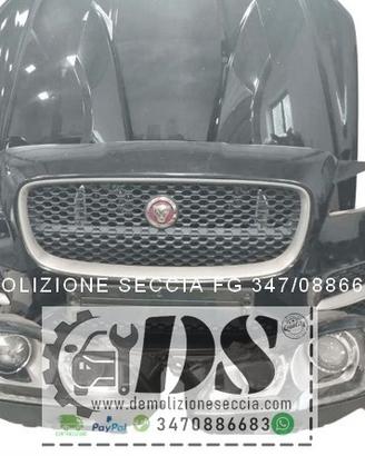 JAGUAR XE 2015 - 2025 musata RICAMBI