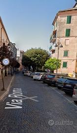 Castel madama, ampio trilocale