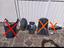 Immagine 2