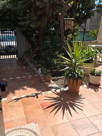 Stanza a Casamassima