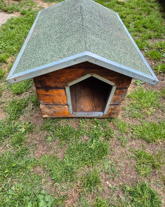 cuccia per cani