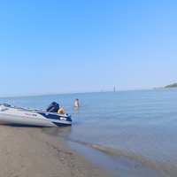 Gommone Tender Honda marine honwave T32 Johnson 15