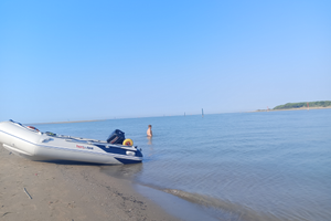 Tender Honda marine honwave T32 Johnson 15