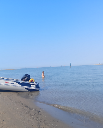 Gommone Tender Honda marine honwave T32 Johnson 15