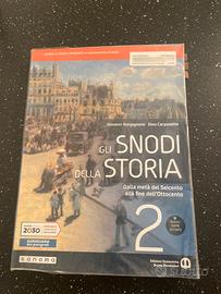 Libro di storia