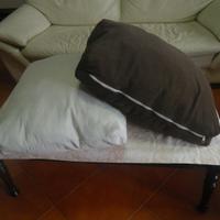 COPPIA CUSCINI PER DIVANO