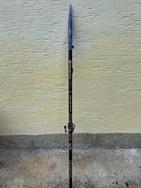 Canna bolognese 8 mt
