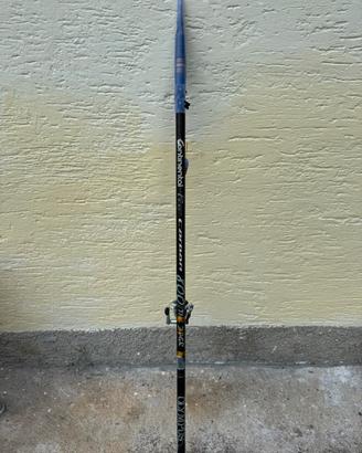 Canna bolognese 8 mt