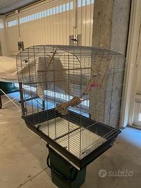 gabbia per uccelli