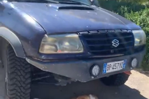 Suzuki gran vitara