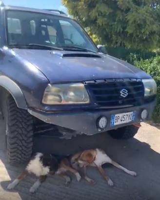 Suzuki gran vitara