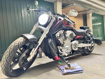 Harley Davidson VRoD muscle
