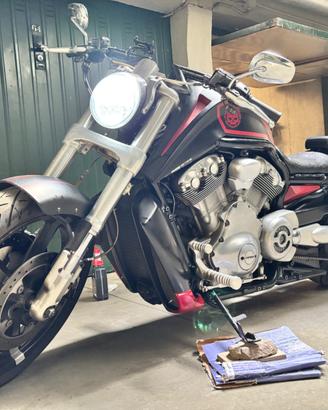 Harley Davidson VRoD muscle