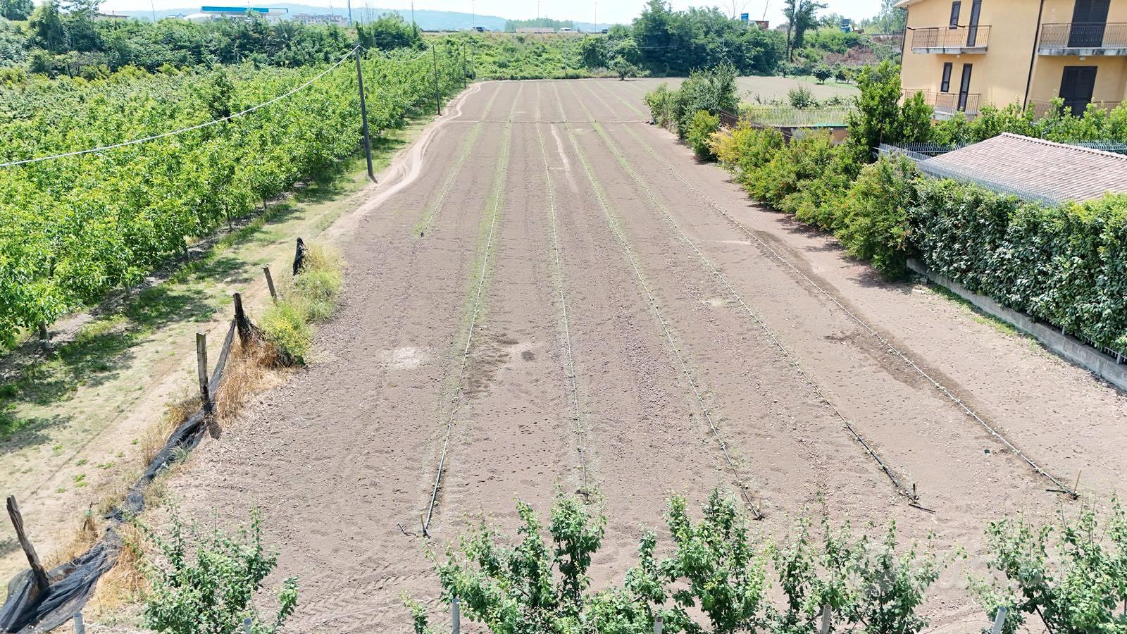 Terreno agricolo destinazione e1 - 9190mq - Altro