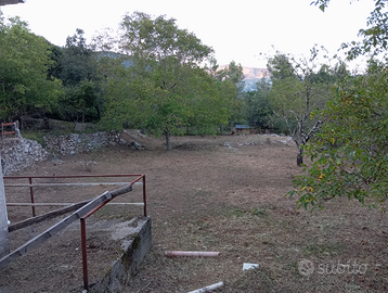 Casetta + terreno zona montagna