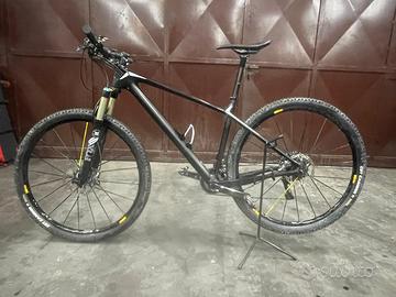 Focus Raven Max 29"