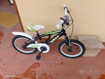 bicicletta bici