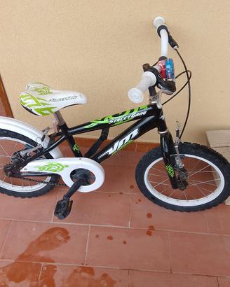 bicicletta bici