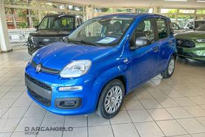 FIAT Pandina 1.0 FireFly 65 CV Hybrid Icon