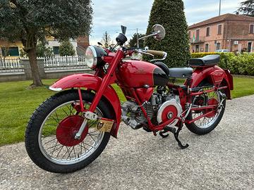 Guzzi falcone