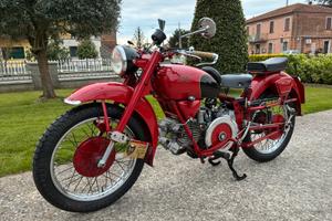 Guzzi falcone
