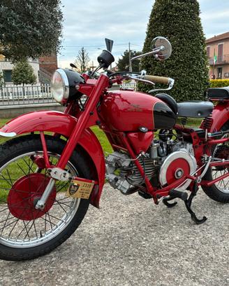 Guzzi falcone