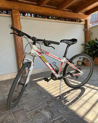 Bicicletta