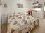 Immagine 20