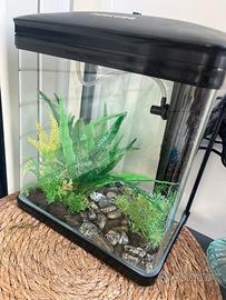 acquario 