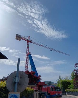 Gru Alfa citycrane A557