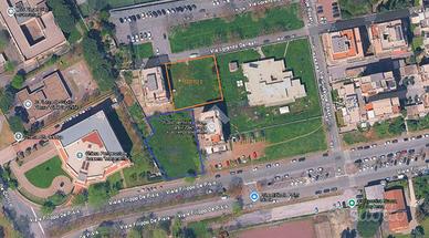 TER. AGRICOLO A ROMA