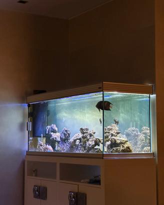 Acquario Marino 500L completo con pesci -150cm